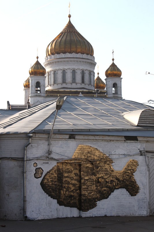 m-city | fish | moscow | russia