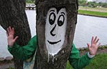 0331c | tree | moscow | russia (38 votes)
