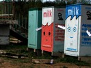 milk | 3-d | russia (131 votes)