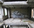 smip | moscow | russia (10 votes)