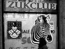 zukclub | moscow | russia (14 votes)