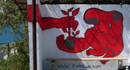 zukclub | red | russia (19 votes)