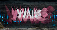 wais | russia | summer10 (131 votes)