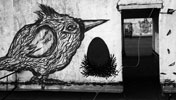zukclub | bird | moscow | russia (25 votes)