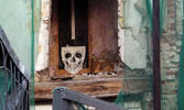 zukclub | skull | russia (21 votes)