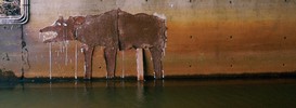 eremiterna | bear | water | finland | scandinavia (41 votes)
