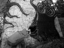 pallo | finland | monster | scandinavia (15 votes)