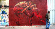 jaz | red | buenosaires | south-america (37 votes)
