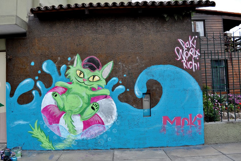 meki | fumakaka | cat | lima | peru | south-america