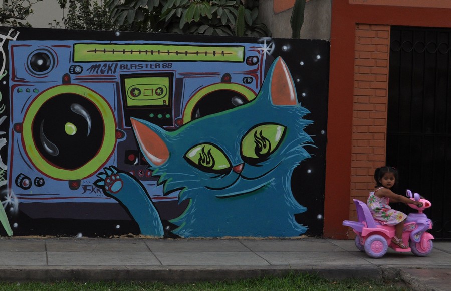 meki | fumakaka | cat | lima | peru | south-america