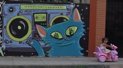 meki | fumakaka | cat | lima | peru | south-america (12 votes)