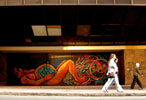 bastadilla | stinkfish | bogota | colombia | south-america (14 votes)