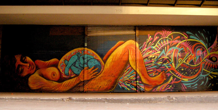 bastadilla | stinkfish | bogota | colombia | south-america