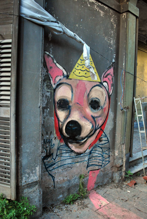ever | buenosaires | dog | argentina | south-america