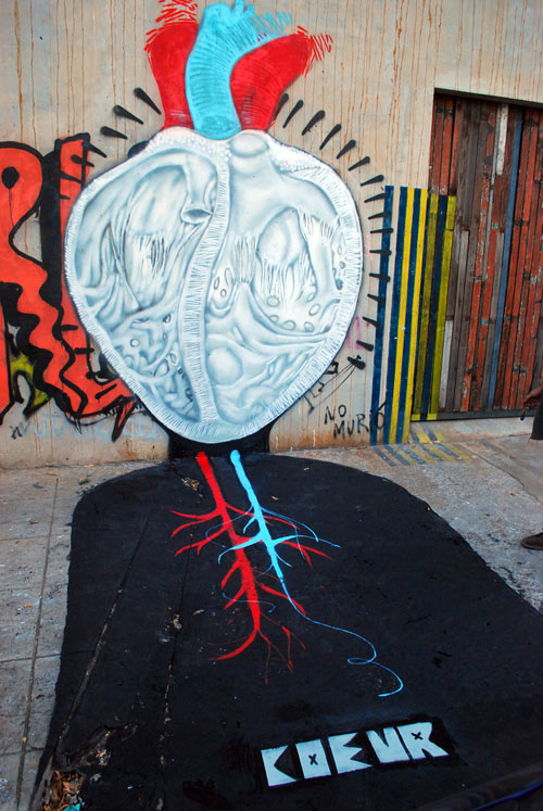 ever | dsr | buenosaires | argentina | south-america