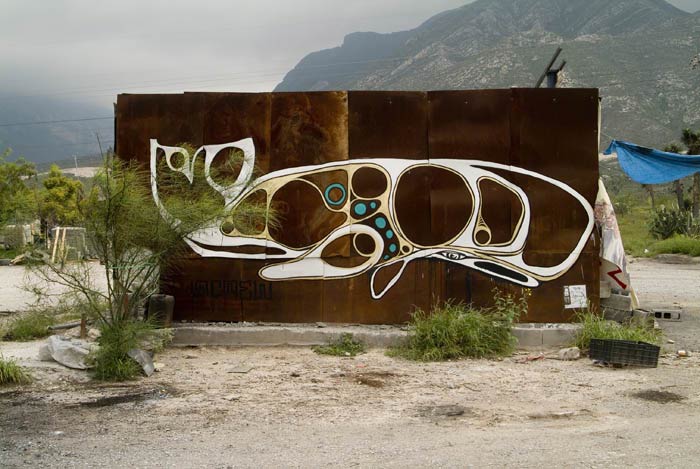 screw | whale | argentina | south-america
