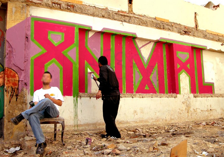 stinkfish | apc | action | bogota | colombia | south-america