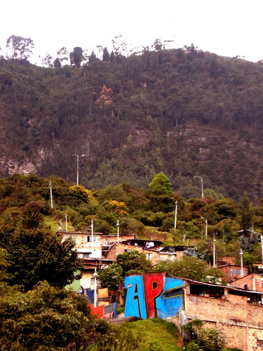 stinkfish | apc | bogota | colombia | south-america