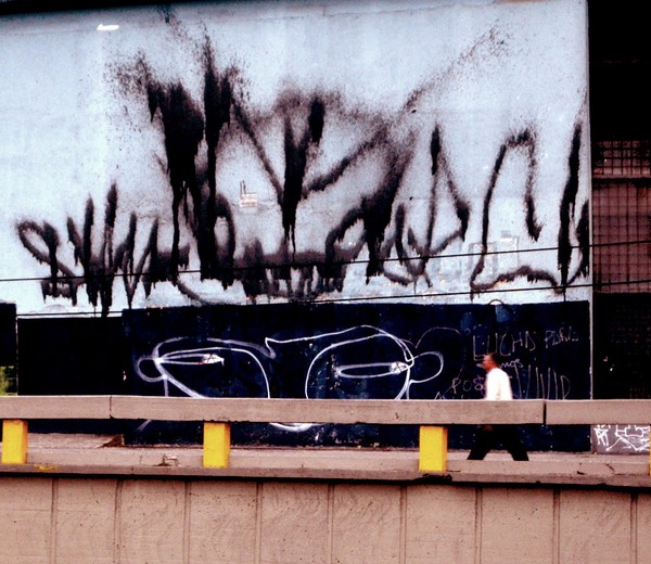 stinkfish | bogota | colombia | south-america