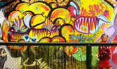 stinkfish | bogota | colombia | south-america (15 votes)