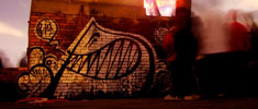 stinkfish | bogota | colombia | south-america (14 votes)
