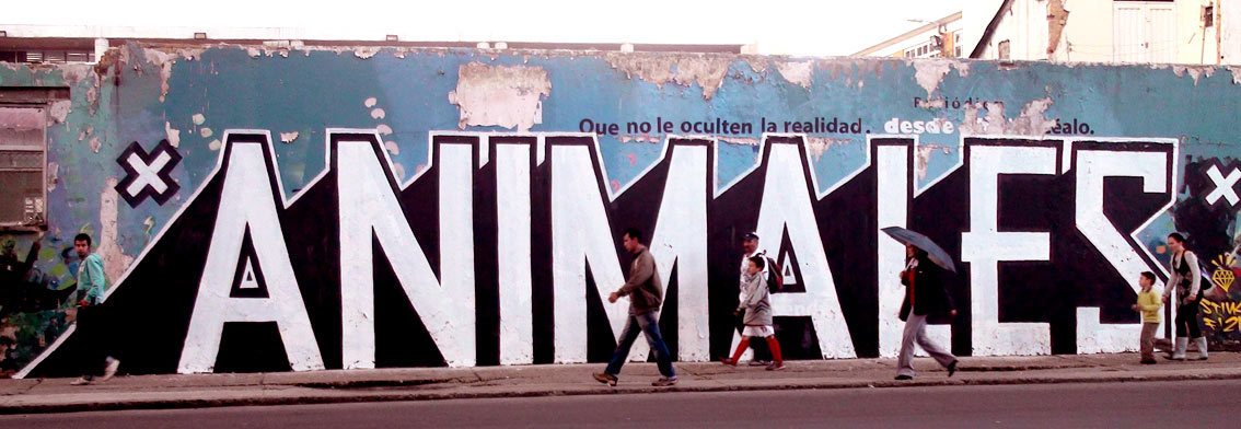 stinkfish | bogota | colombia | south-america