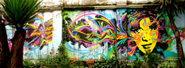 stinkfish | bogota | colombia | south-america (26 votes)