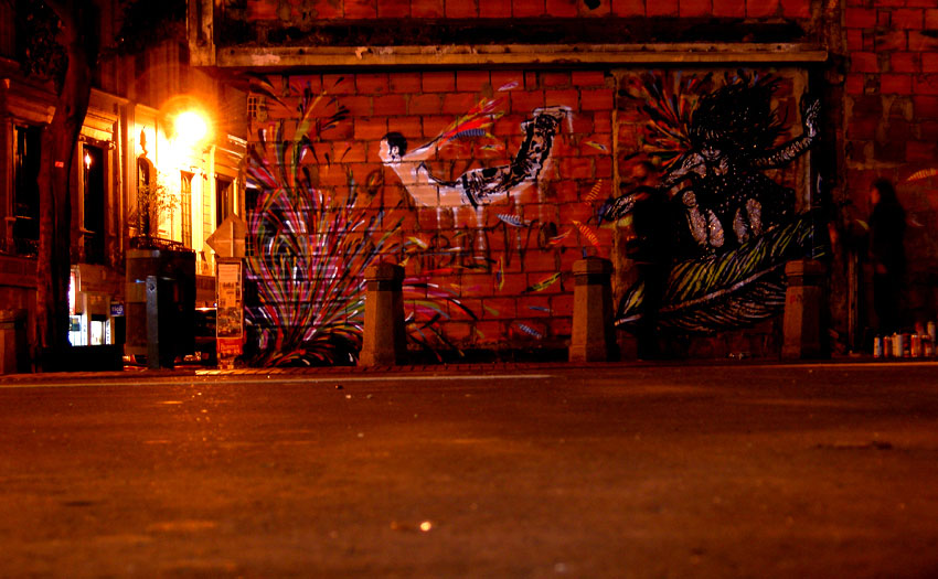 stinkfish | vexta | bastardilla | night | bogota | colombia | south-america
