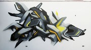 basick | physe | lima | peru | south-america (17 votes)