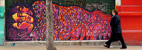 bastardilla | bogota | colombia | south-america (36 votes)