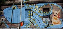 gualicho | ever | octopus | blue | buenosaires | argentina | south-america (63 votes)