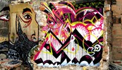 aeon | stinkfish | bogota | colombia | south-america (8 votes)
