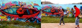 bastardilla | stinkfish | colombia | south-america (19 votes)