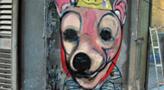 ever | buenosaires | dog | argentina | south-america (41 votes)