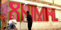 stinkfish | apc | process | bogota | colombia | south-america (12 votes)
