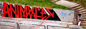 stinkfish | apc | red | bogota | colombia | south-america (21 votes)