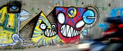 stinkfish | bogota | colombia | south-america (11 votes)