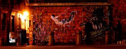 stinkfish | vexta | bastardilla | night | bogota | colombia | south-america (14 votes)