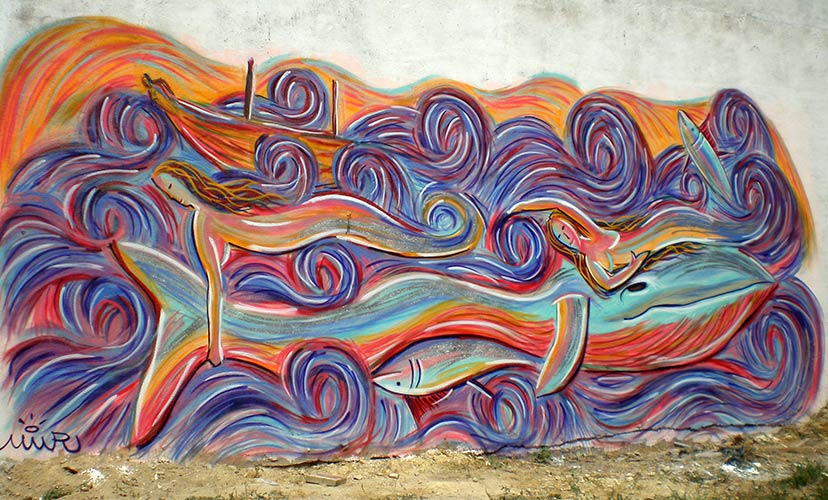 gato | cordoba | spain