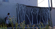 pablo-s-herrero | tree | salamanca | spain (26 votes)
