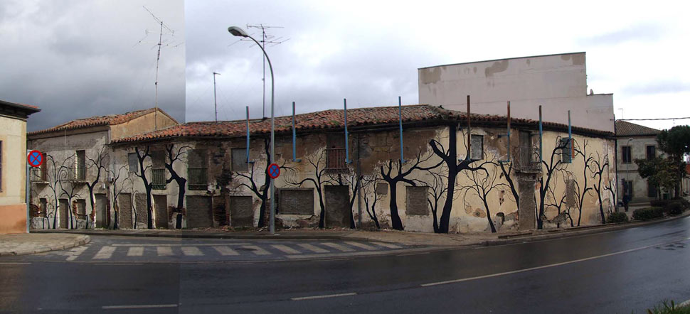 pablo-s-herrero | tree | salamanca | spain