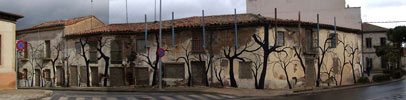 pablo-s-herrero | tree | salamanca | spain (63 votes)