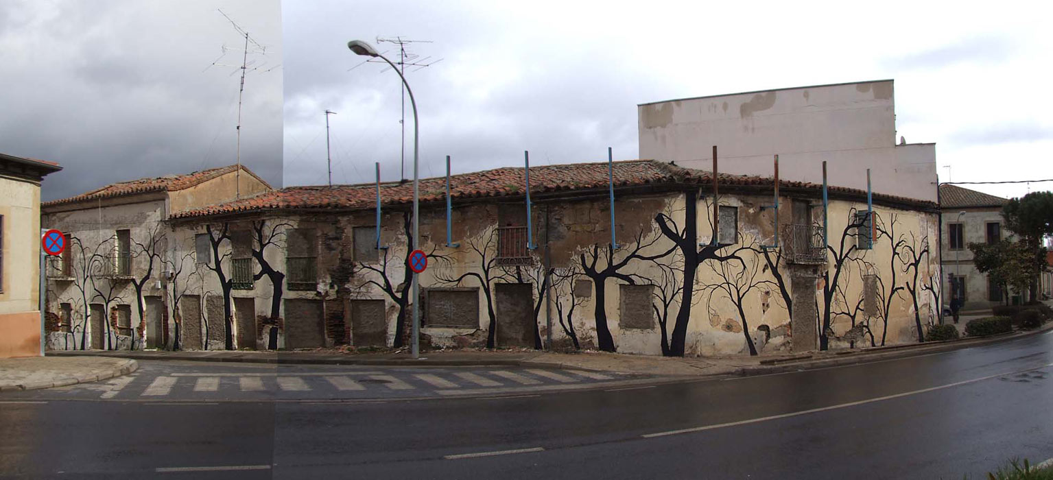 pablo-s-herrero | tree | salamanca | spain