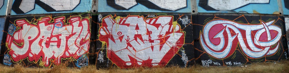 pafh | peps | gato | spain