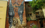 roa | eltono | bird | zaragoza | spain (20 votes)