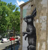 roa | rabbit | zaragoza | spain (23 votes)
