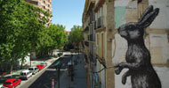 roa | rabbit | zaragoza | spain (22 votes)