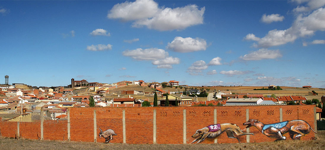 dier | zamora | dog | spain