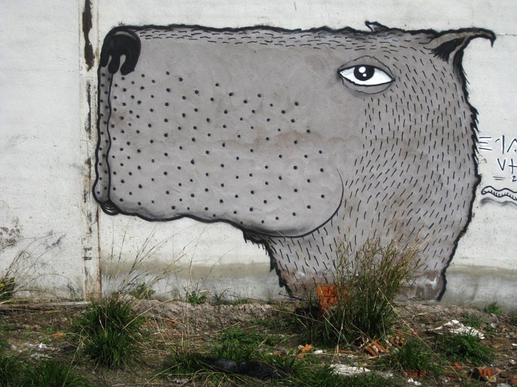 e1000ink | grey | dog | spain