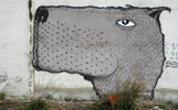 e1000ink | grey | dog | spain (27 votes)